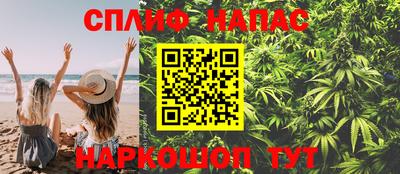 крисы Малгобек