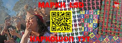 крисы Малгобек