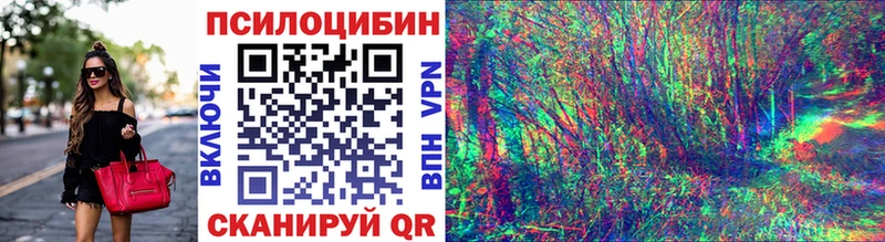 как найти закладки  Обнинск  Псилоцибиновые грибы ЛСД 